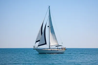 Illustration sheet - Image 1