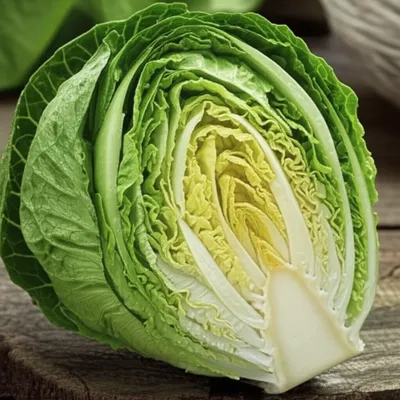 Illustration cabbage