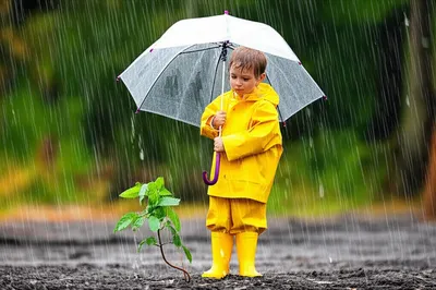 Illustration defends - Image 1