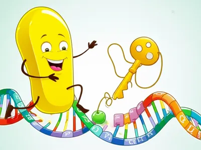 Illustration expresses - Image 1