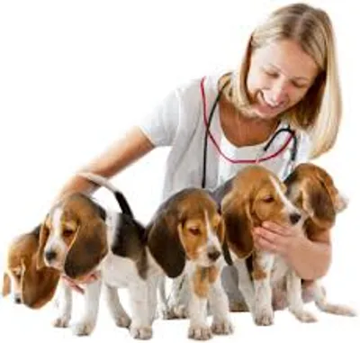 Illustration sitter - Image 2