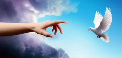 Illustration placate - Image 1