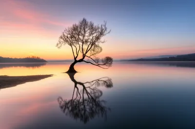 Illustration stilling - Image 1