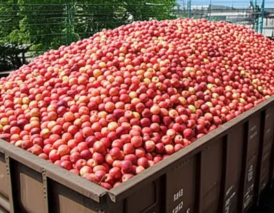 Illustration cars - Image 1