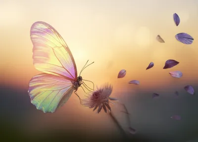 Illustration vapour - Image 1