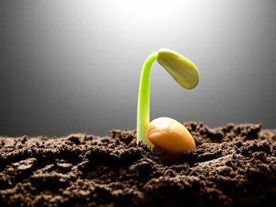 Illustration come - Image 1