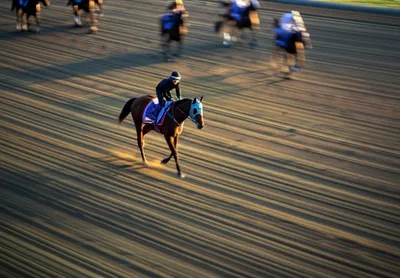 Illustration backtrack - Image 1