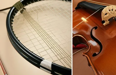 Illustration guts - Image 1