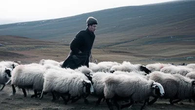 Illustration harrier - Image 1