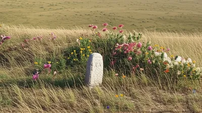 Illustration tombs - Image 1