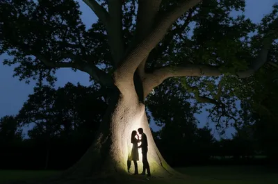 Illustration trysted - Image 1