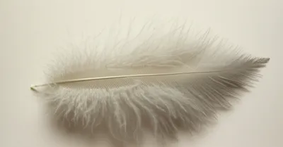 Illustration floss - Image 1