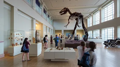 Illustration shew - Image 1