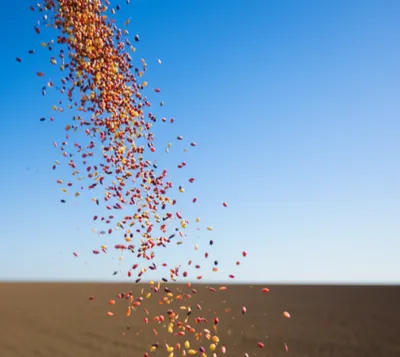 Illustration scattering - Image 1