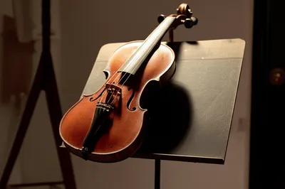 Illustration crowds - Image 1