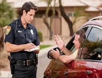 Illustration book - Image 4