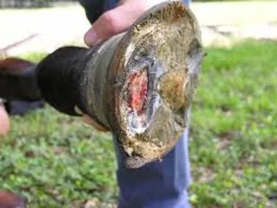 Illustration founder - Image 2