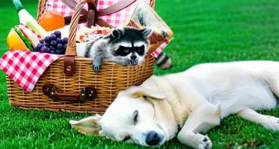 Illustration snaffle - Image 1