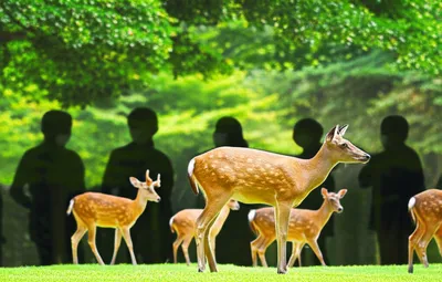 Illustration res - Image 1