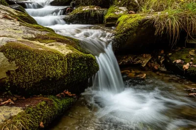 Illustration heads - Image 1