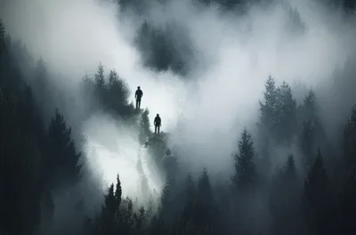 Illustration discerned - Image 1