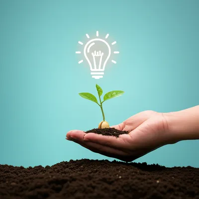 Illustration pull - Image 1