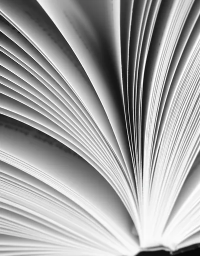 Illustration page - Image 1