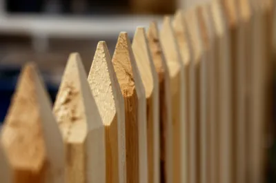 Illustration palings - Image 1