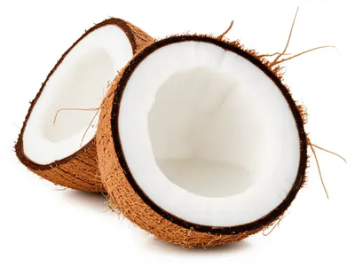 Illustration coconut