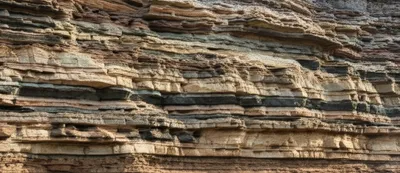 Illustration section - Image 1