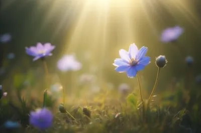 Illustration magnifying