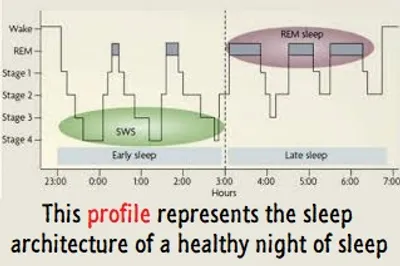 Illustration profile - Image 3