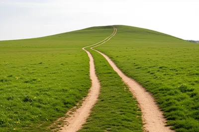 Illustration walk - Image 1