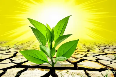 Illustration cures - Image 1