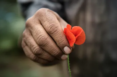 Illustration calloused