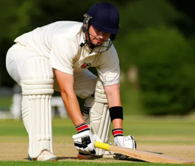 Illustration gardens - Image 1