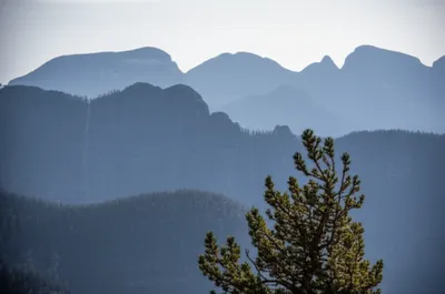 Illustration telephoto - Image 1