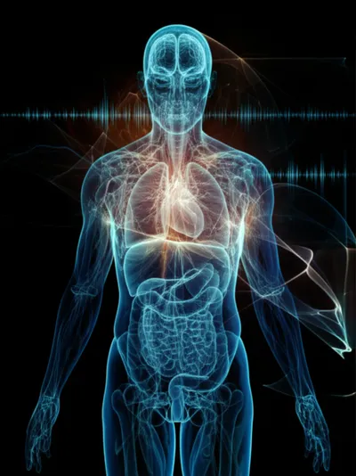 Illustration imaging - Image 2