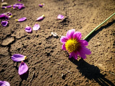 Illustration succumbed - Image 1