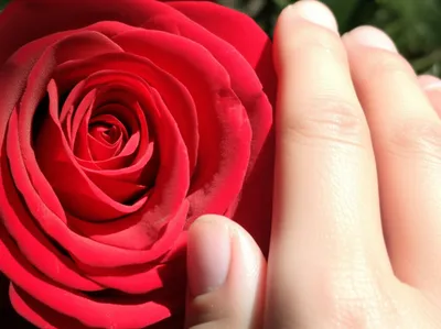 Hình ảnh minh họa haptic - Ảnh 1