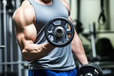 Illustration physique - Image 1