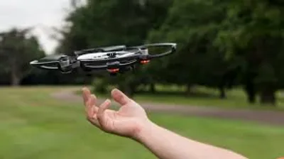 Illustration flier - Image 2