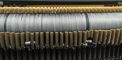 Illustration urchins - Image 1