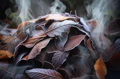 Illustration smouldering