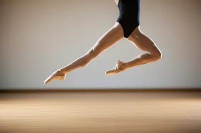 Illustration chasses - Image 1