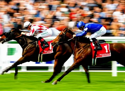 Illustration edging - Image 1