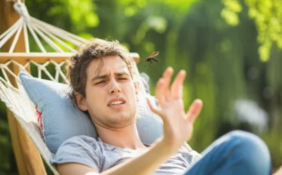 Illustration gall - Image 1