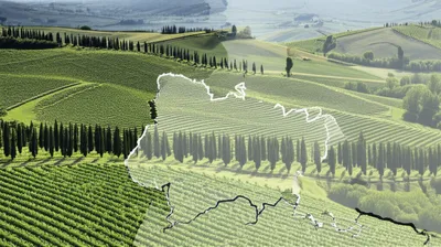 Illustration appellation - Image 1