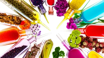 Illustration botanicals - Image 1