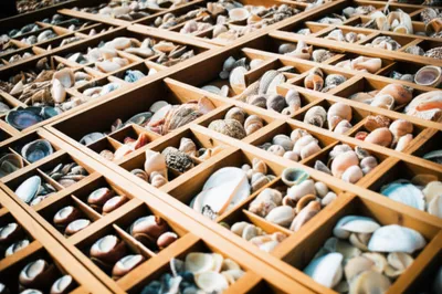 Illustration collect - Image 1